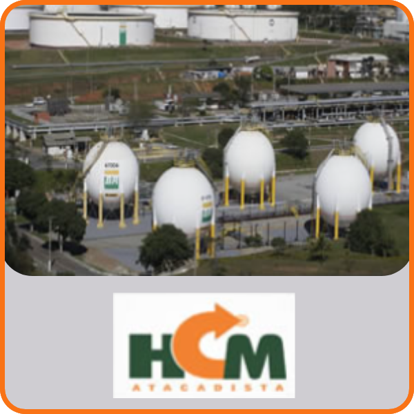 Gestão de QSMS - Transpetro